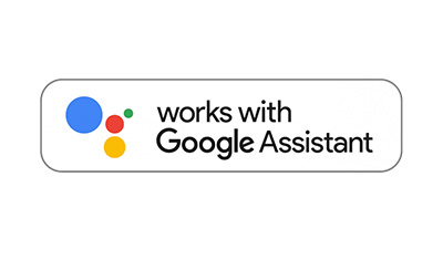 Google Assistant compatible philips hue