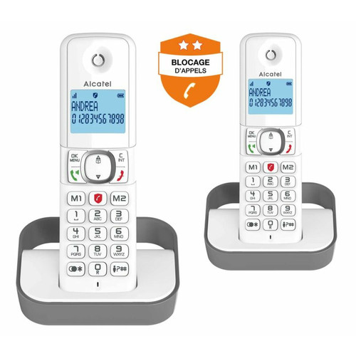 Alcatel - Pack téléphone sans fil ALCATEL  F 860 DUO GRIS Alcatel - Téléphone fixe-répondeur Duo
