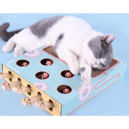 Jouet pour chien Generic Taupe souris chat jouet, jouet chat en bois boîte en bois souris poinçonnage jeu outil de pratique avec 5 trous