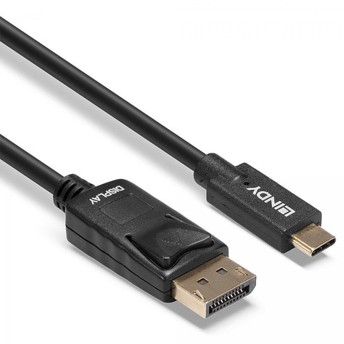 Adaptateurs Lindy Cordon USB-C / DisplayPort 4K (5m)