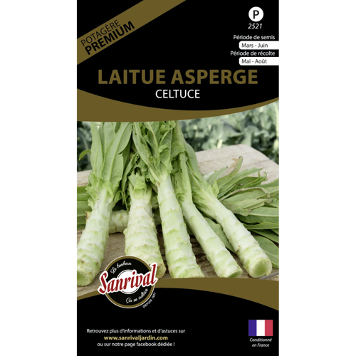 Sanrival - Graines potagères premium laitue Asperge Sanrival  - Jardinerie