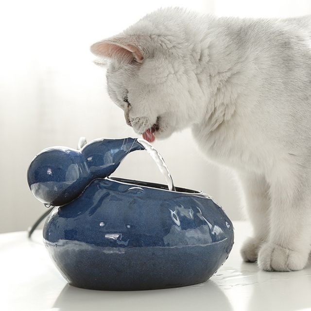 Gamelle pour chat Generic Chat en céramique Pet Fontaine d'eau potable Fontaine électrique Distributeur d'eau